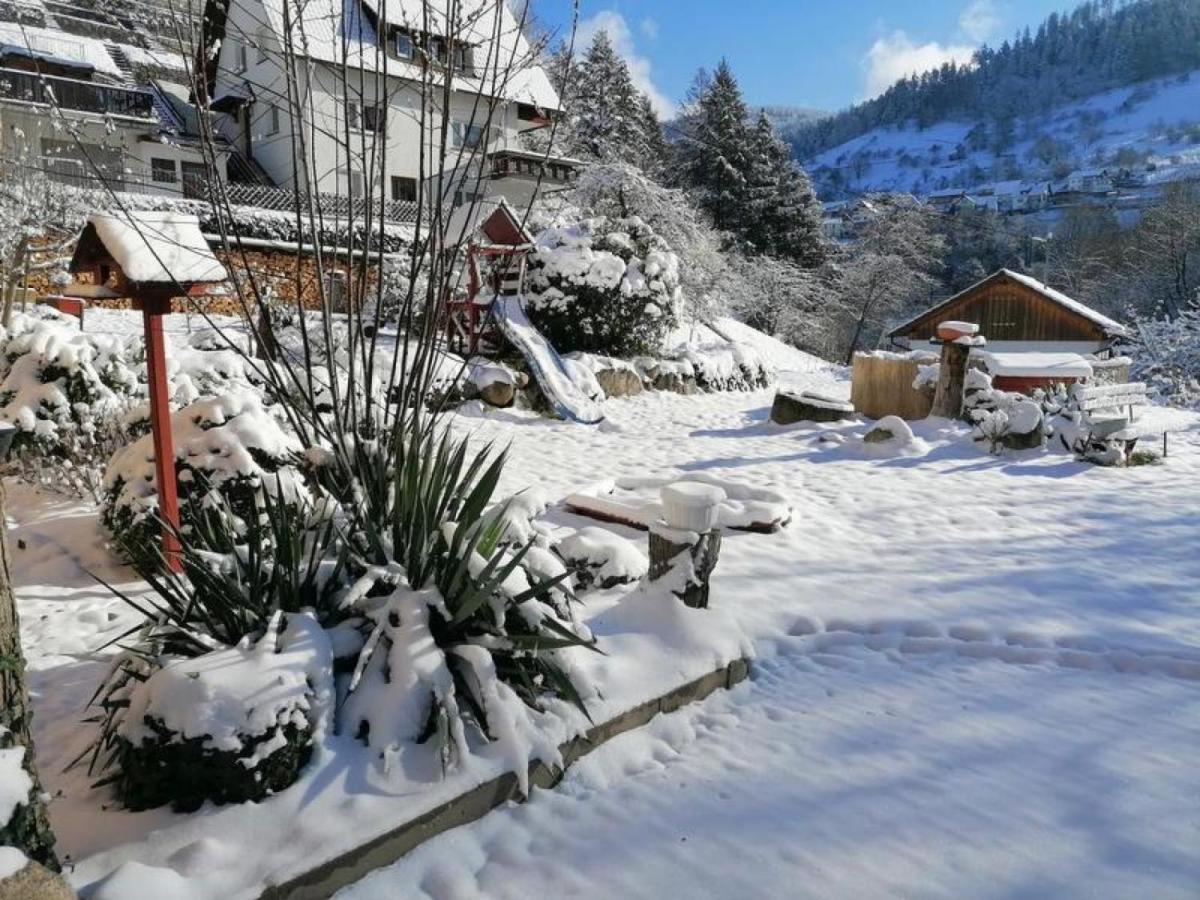 Am Sersbach Forbach Bagian luar foto